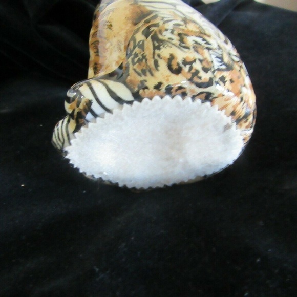 Cheetah / Leopard/ Jaguar 9 " Tall - Picture 4 of 10